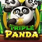 Triple Panda